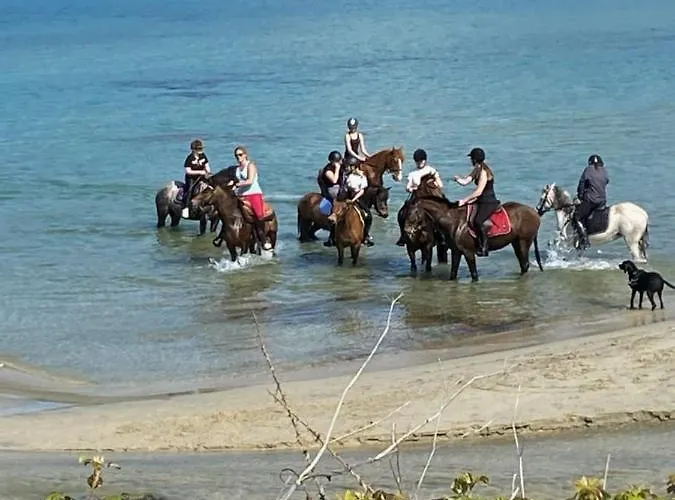 Caselena , Un Havre De Paix En Balagne Hébergement de vacances Ville-di-Paraso