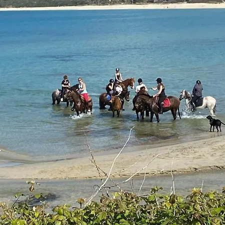 Caselena , Un Havre De Paix En Balagne Feriehus Ville-di-Paraso