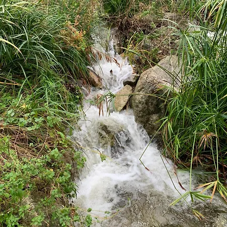 Caselena , Un Havre De Paix En Balagne Feriehus
