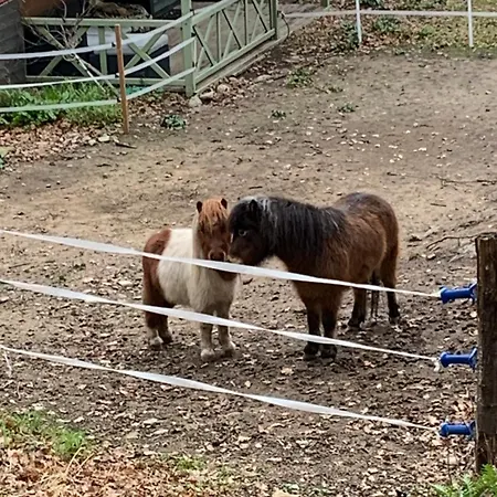 Caselena , Un Havre De Paix En Balagne Casa vacanze