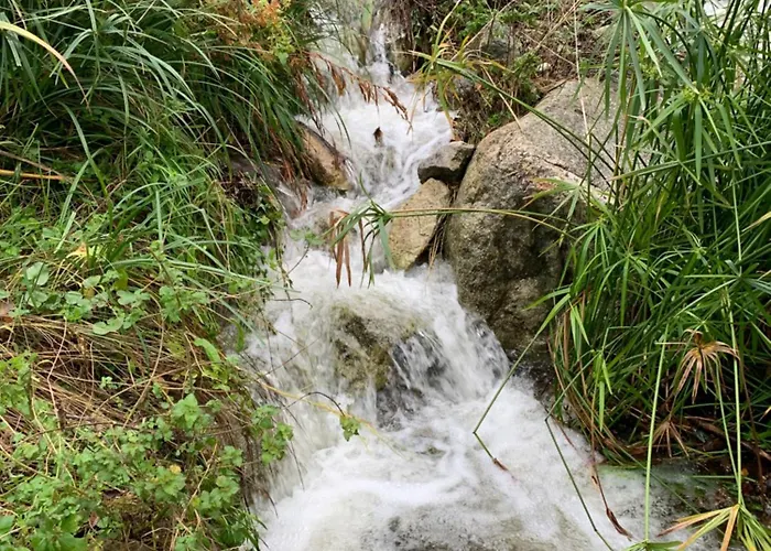 Caselena , Un Havre De Paix En Balagne Vakantiehuis